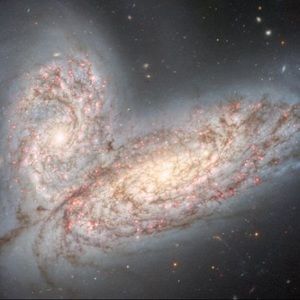 Meet your Posher, Aly